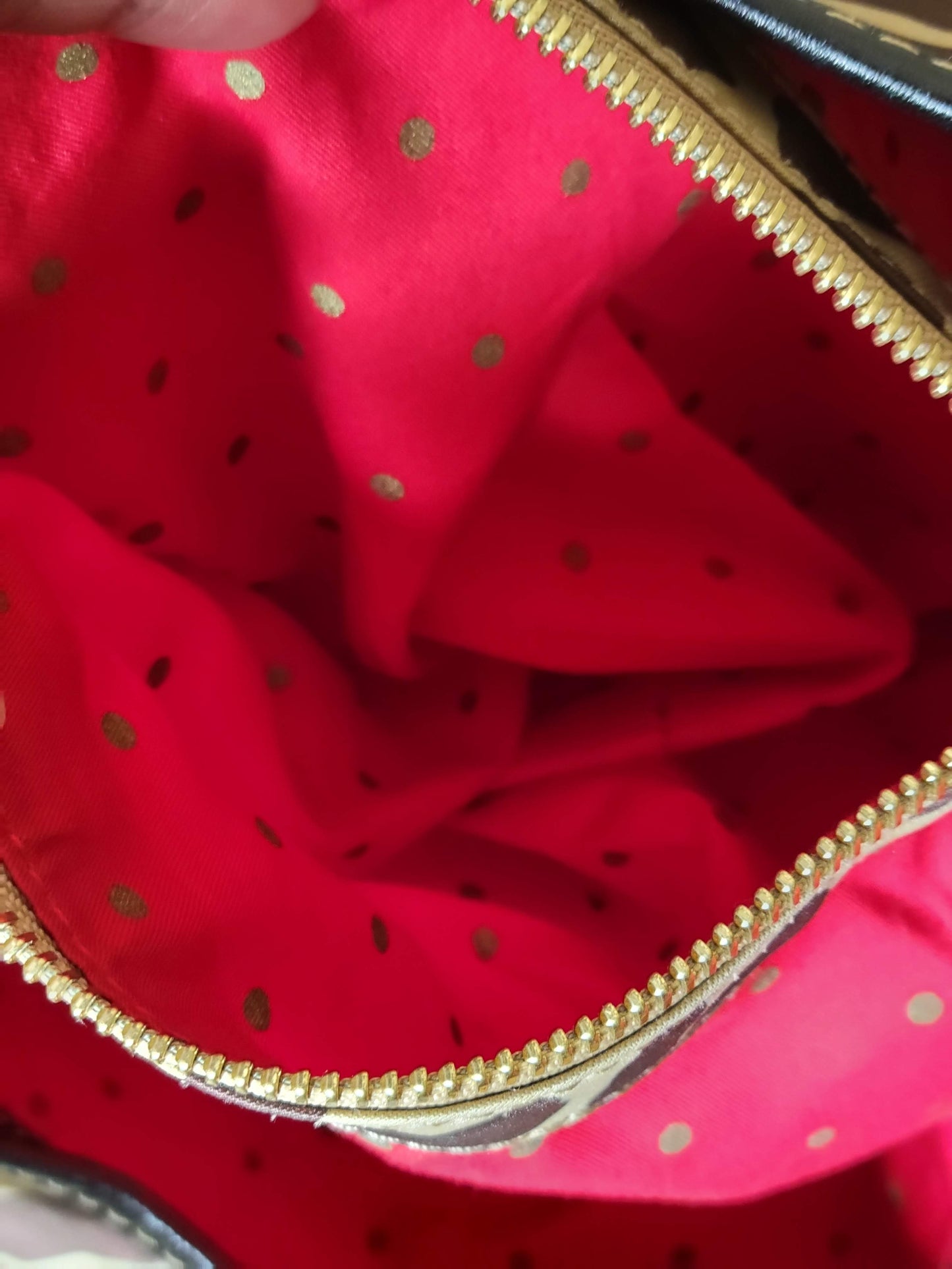Kate Spade Animal Print Hobo Bag